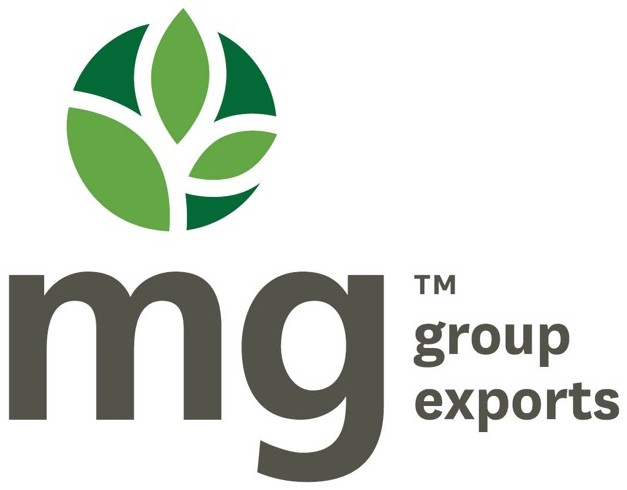 MG Group Exports logo