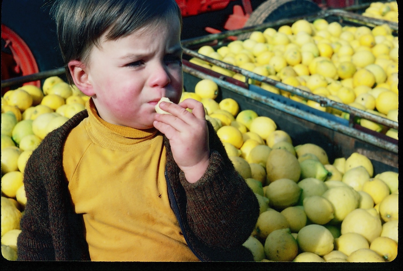 A young boy tasting fresh citrus