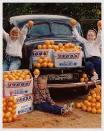 Children with Ingy's citrus boxes at the old car