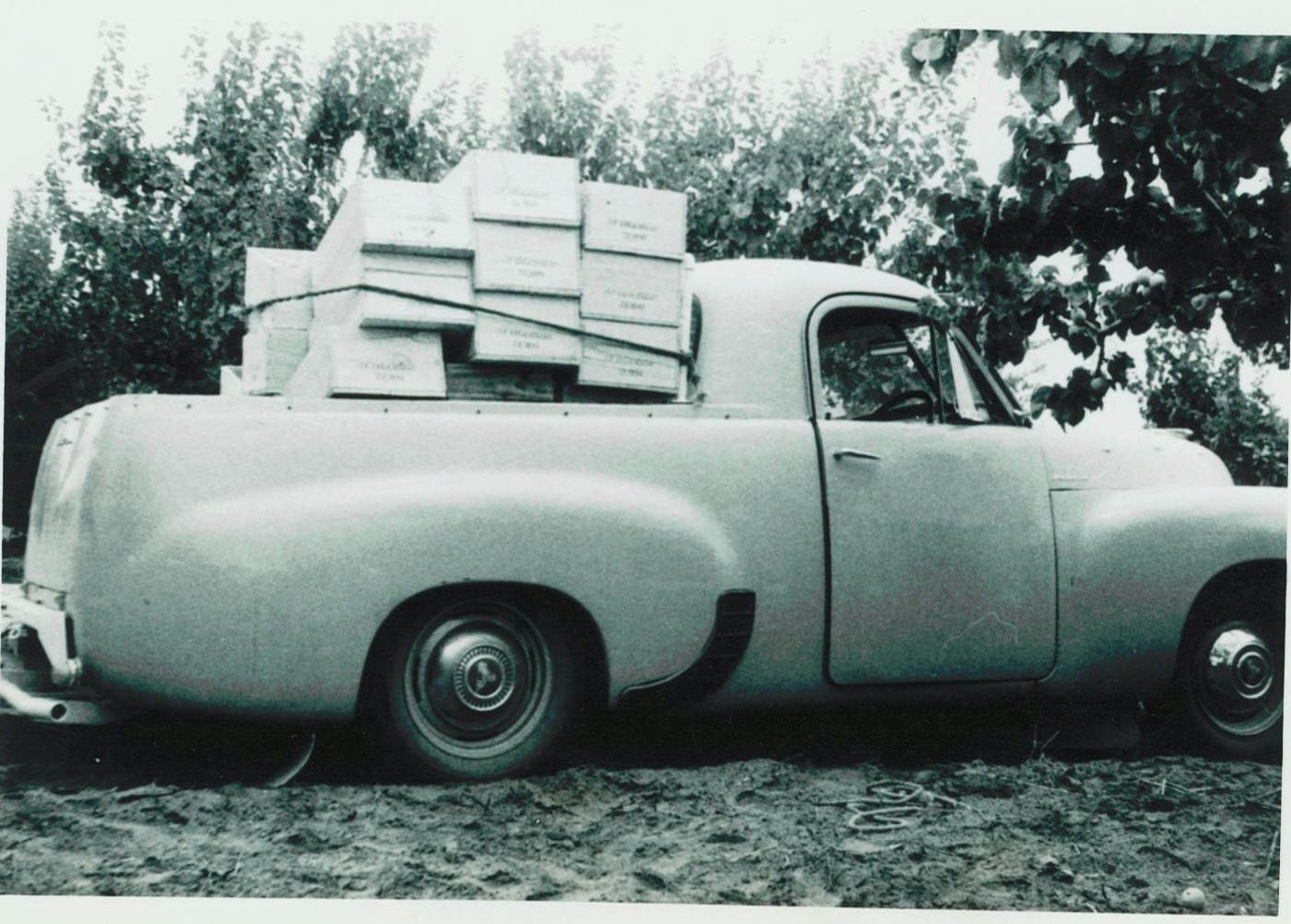 A ute loaded with packed fruit boxes